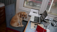 An album art manager