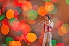 Elvis!
