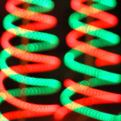 Christmas DNA