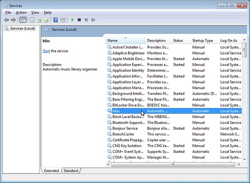 bliss in the services applet in Windows 7